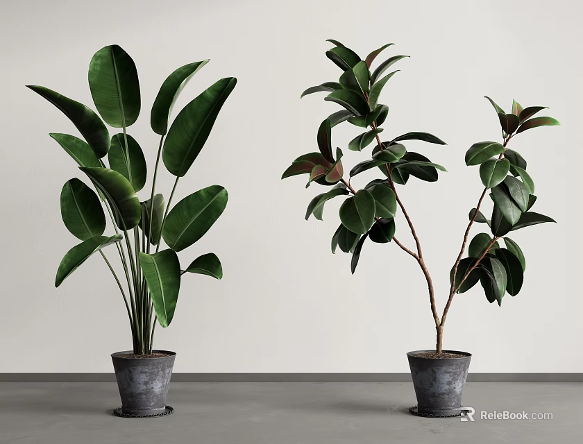Fresh Green Potted Plants With Various Leaf Shapes In Gray Pots For Indoor Decor 3d model 