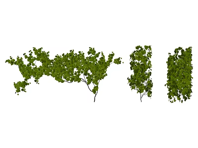 Lush Green Vines With Natural Leafy Branches And Dense Foliage Growth Patterns 3d model