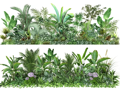 Tropical Green Plants with Lush Leaves and Purple Flowers in Garden 3d model