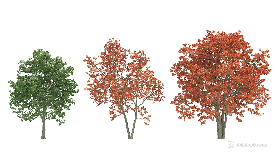 Deciduous Trees With Green Orange And Red Foliage In Seasonal 3d model 