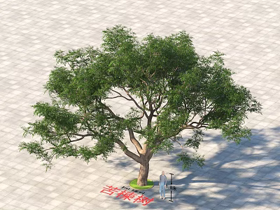 Lush Green Arbor With Strong Trunk On Paved Square Ground And Green Lawn 3d model