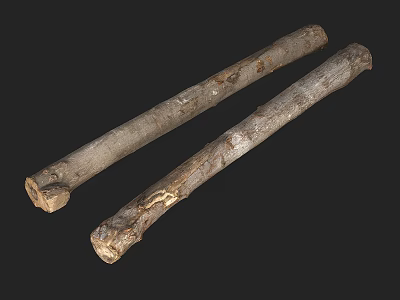 Two Rustic Stone Wood Logs with Natural Texture and Knotty Surface Design 3d model