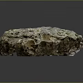 Rustic Wood Stone Material With Natural Rough Texture And Porous Surface 3d model