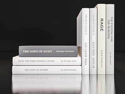 Modern Books and Magazines 3d model