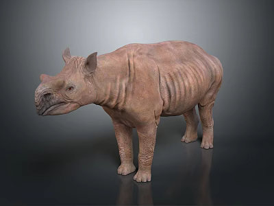 Brown Rhinoceros Model With Wrinkled Skin Standing On Dark Background 3d model