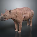 Brown Rhinoceros Model With Wrinkled Skin Standing On Dark Background