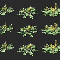 Green Leafy Plants With Yellow Blooms In Multiple Display Views 3d model