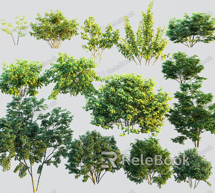 Modern Tree Landscape Shrub model