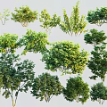 Modern Tree Landscape Shrub 3d model