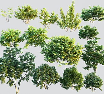 Modern Tree Landscape Shrub 3d model