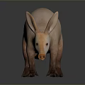 3D Rendered Aardvark Game Movie Character With Pink Skin Long Snout Large Ears Standing Pose
