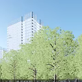 Modern Commercial Street With Tall Buildings Curved Roadways Greenery And Plaza Lighting