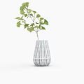 Stylish Bonsai Potted Plant with Gray White Striped Vase and Fresh Green Leaves
