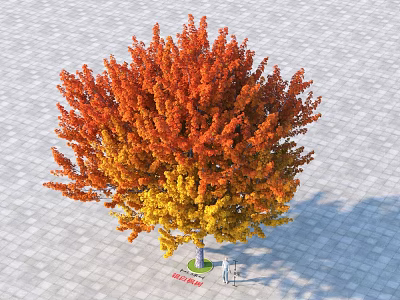 Autumn Arbor Featuring Orange And Yellow Foliage On Paved Ground With Person Beneath 3d model