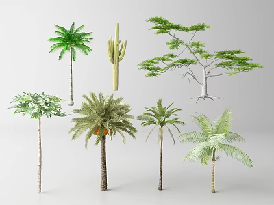 Different Types of Arbor Trees with Various Leaf Shapes and Trunk Structures 3d model