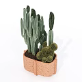Bonsai Potted Plant With Various Cactus Types In Brown Textured Pot