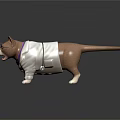 Adorable Brown And White Cat Wearing White Coat Purple Bow Tie And Glasses