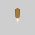 Modern Gold Ceiling Light With Amber Glass Shade And Elegant Design