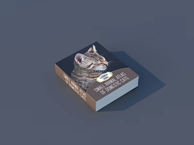 Hardcover Book With Cat Illustration Featuring Ancient Wisdom And Still Mind Alive 3d model