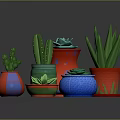 Colorful Succulent And Cactus Plants In Vibrant Decorative Pots With Various Designs