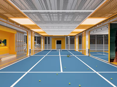 Indoor Basketball Court With Blue Floor White Lines Green Balls Yellow Walls And Mesh Ceiling 3d model