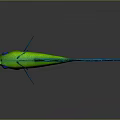 Vibrant Green Betta Fish with Blue Flowy Tail Isolated on Dark Background and Reflective Surface