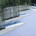 Bonsai Potted Plants Arranged Along Curved Stone Paths In Modern Garden