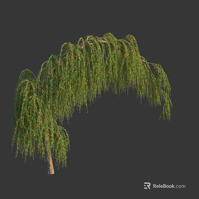 Weeping Willow Tree With Long Hanging Branches And Lush Green Leaves In Elegant Natural Form 3d model 