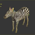 3D Rendered Zebra With Black And White Stripes Standing On Gray Background