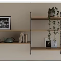 Wall Shelves with Black and White Photo Teapot Hanging Plant and Books