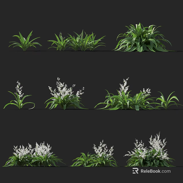 Various Green Plants With White Flowers And Diverse Leaf Shapes In Garden 3d model 
