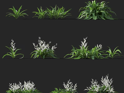 Various Green Plants With White Flowers And Diverse Leaf Shapes In Garden 3d model