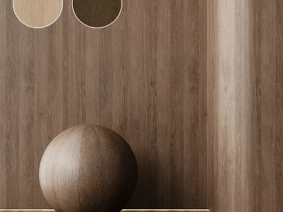 Circular Wooden And Mirror Components On Wooden Wall With Sphere Decor 3d model