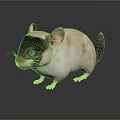 Mouse Wizard Mouse Warlock Cartoon Mouse Animation Mouse Animation Mouse Cartoon Character Cartoon Animal 3d model
