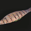 Fresh Colorful Striped Fish With Green Vegetables On Black Background