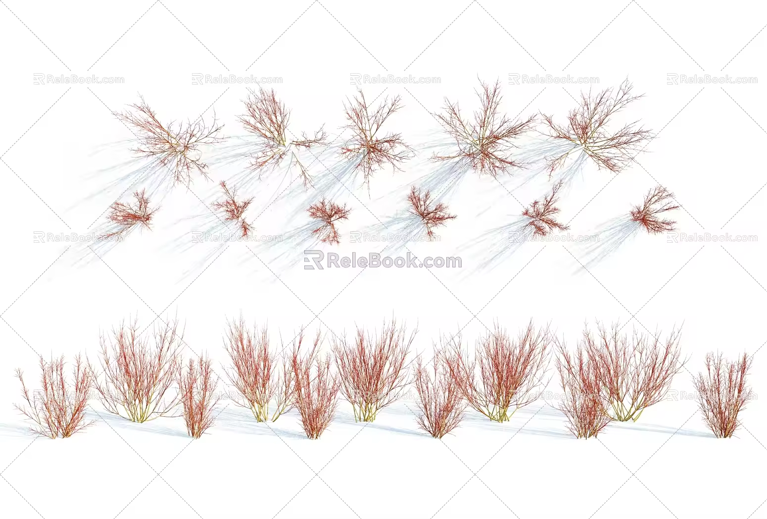 Modern grass shrub 3d model