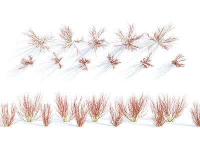 Red Flowering Plant Branches with Clustered and Scattered Growth on Snowy Background 3d model