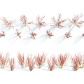 Modern grass shrub 3d model