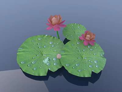 Aquatic Plants Featuring Pink Water Lilies Green Lily Pads With Water Droplets 3d model