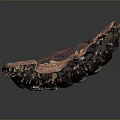 Red Sea Cucumber With Spiny Exterior And Red Internal Flesh On Dark Background