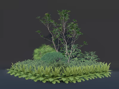 Garden Shrubs In Landscape Design With Green Ferns And Various Plants Around 3d model