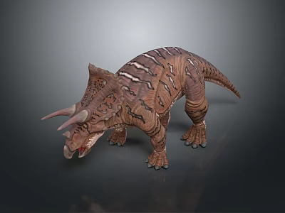 Realistic Triceratops Dinosaur 3D Model With Three Horns Frill And Detailed Skin Texture 3d model