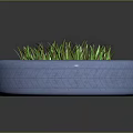 Green Grass Growing Lush Inside a Blue Recycled Tire Planter Container