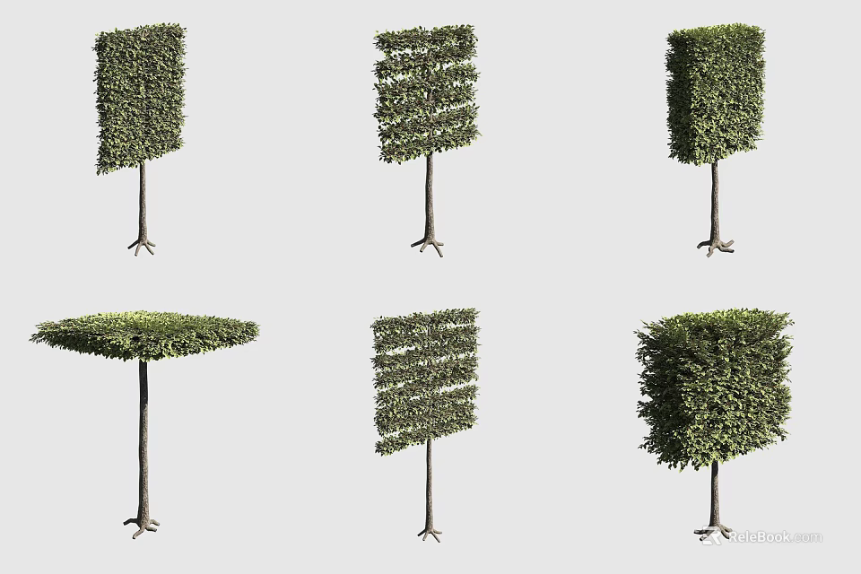 Different Shaped Pruned Arbor Trees With Various Geometric Designs And Foliage 3d model 