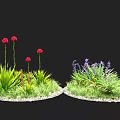 Vibrant Garden Plants with Red Purple Flowers and Green Foliage in Circular Beds