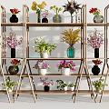 Beautiful Flower Arrangements In Various Decorative Vases On Multi Layer Display Shelves