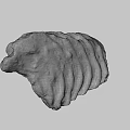 Fossilized Rib Bone Structure With Ancient Layered Textured Brown Surface 3d model