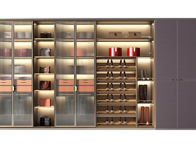Modern Wardrobe With Glass Doors Lighting And Storage Shelves For Shoes Bags 3d model