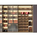 Modern Wardrobe With Glass Doors Lighting And Storage Shelves For Shoes Bags