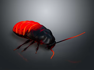 Red and Black Cockroach With Orange Stripes And Long Antennae On Gray Background 3d model